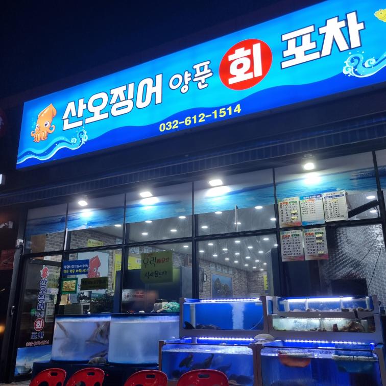 산오징어양푼회포차 경력있고 자신감넘치시는 회실장님450만 모십니다 주방장·조리사 취업 경기 부천시 전지역 일자리 정보 | 국민 대표... 